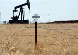 Muş Ovası'nda petrol müjdesi
