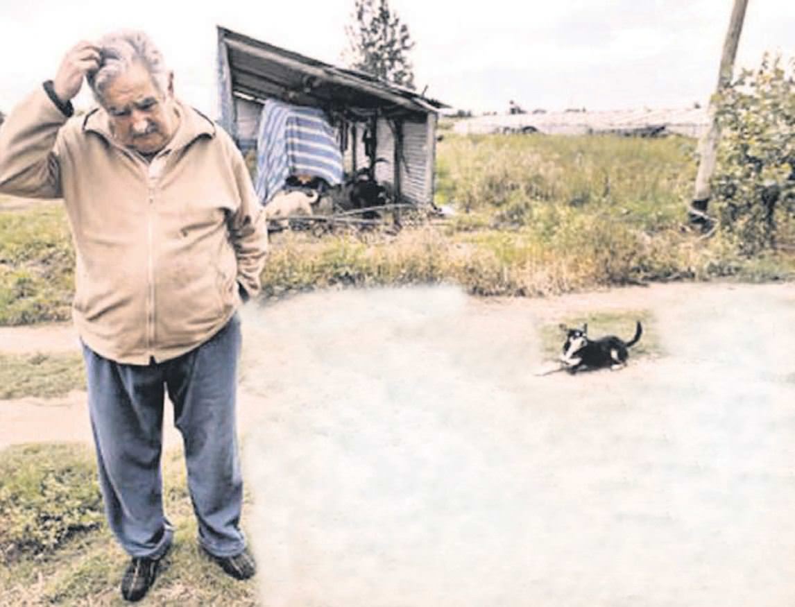 Devlet başkanı Robin Hood