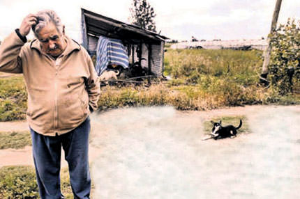 Devlet başkanı Robin Hood