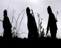 24 terörist yakalandı