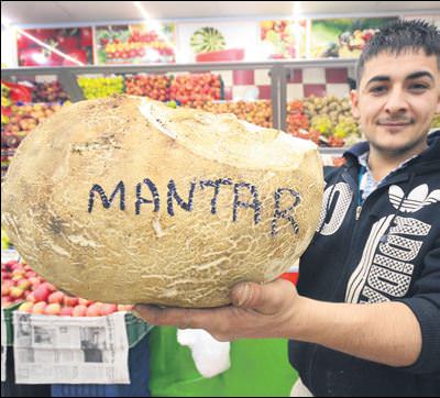 Rekor mantara bağladı