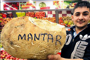 Rekor mantara bağladı