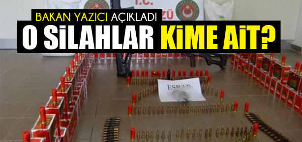 O silahlar kime ait?
