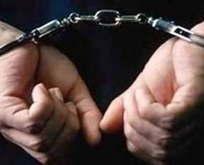 Hollanda'da PKK'ya ağır darbe