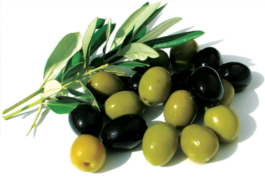 Karşınızda doktor zeytin