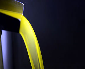 Akademik zeytinyağı