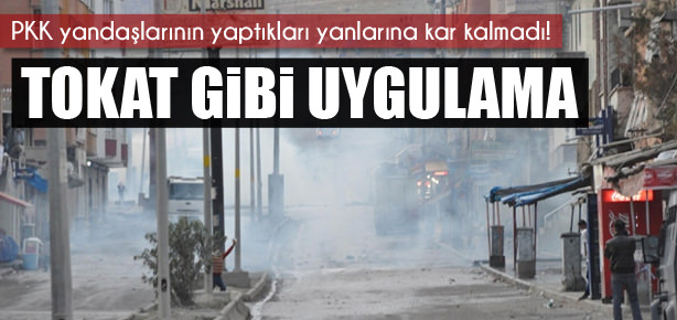 PKK yandaşları panik içerisinde!