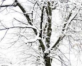 Meteoroloji uyardı: Dondurucu soğuklar geliyor