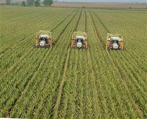 2 bin 500 yeni tarım danışmanı