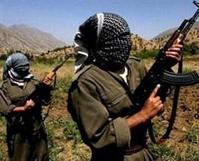 Diyarbakır'da PKK'ya büyük darbe