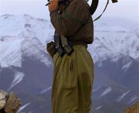 PKK Baydemir'i kaçırdı