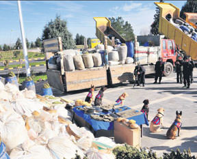 Narko-terör darbesi