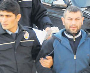 Örümcek yakalandı