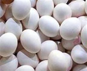 Bakkallarda yumurta satışına son