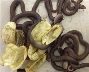 Dolabından bunlar çıktı