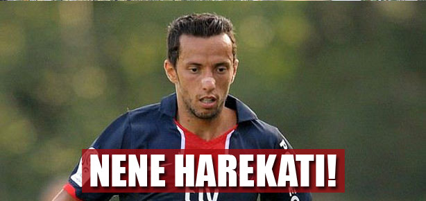 Kartal'dan Nene harekatı