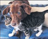 İnsanlık kör’eldi