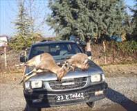 Yasak ava 24 bin lira