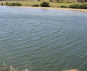 Aşkı için nehri geçti