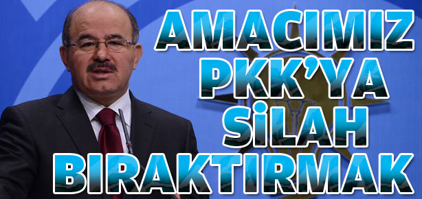 Amacımız terör örgütüne silah bıraktırmak