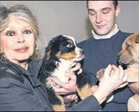 Bardot’dan Rus tehdidi