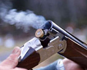 Domuz avında arkadaşını vurdu