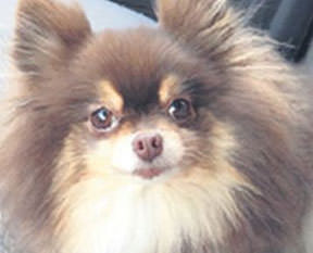 Bu kadar mı benzerim!