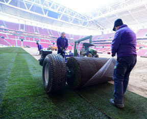 Arena'da çimler hazır