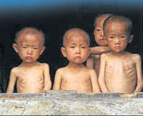 2 bin yetime Türk şefkati