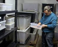 Hamam böceği zengin etti