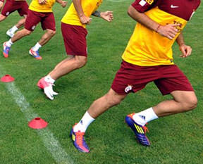 Aslan ara vermedi