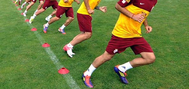 Aslan ara vermedi