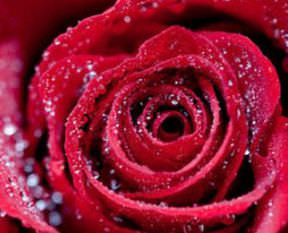 İşte yol gösteren 40 hadis