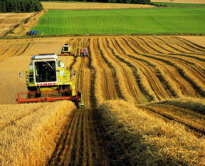 Çiftçiye müjdeli haber