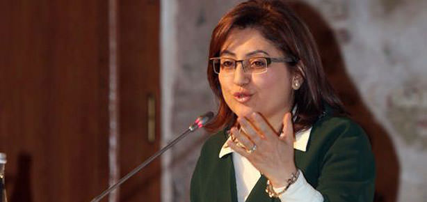 Şahin kanadı