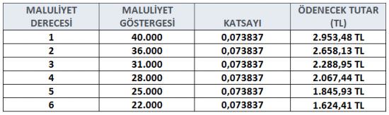 Şehit ve gazi ailelerine ek ödeme-1