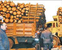 Şoför baba ile oğluna TIR çarptı kamyon ezdi