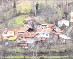 Şehit köy