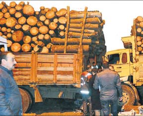 Şoför baba ile oğluna TIR çarptı kamyon ezdi