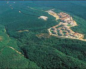 2B düzenlemesi onaylandı