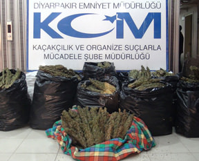 Terör örgütüne ağır darbe