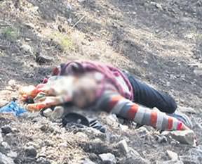 Birileri bu canileri durdursun