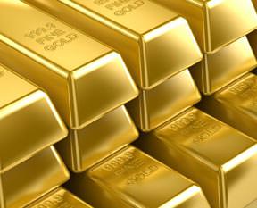 Altın yapan bakteri