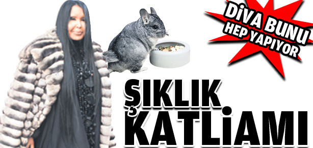 Şıklık katliamı!