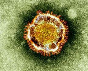 Dünyada 'corona' alarmı