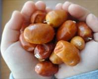 Soğuk algınlığına iğde