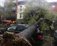 Sandy, Türk esnafı vurdu