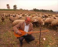 Gündüz çoban gece sanatçı