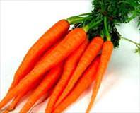 Havuç ders pekiştirir