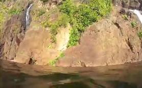 Uçan timsah böyle saldırdı